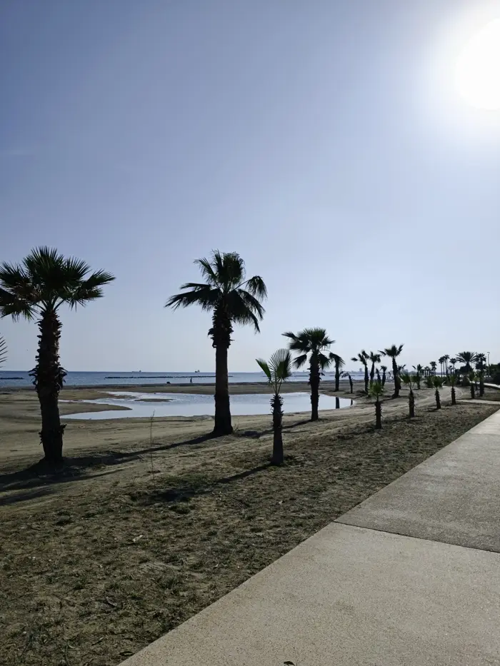 Beachfront path